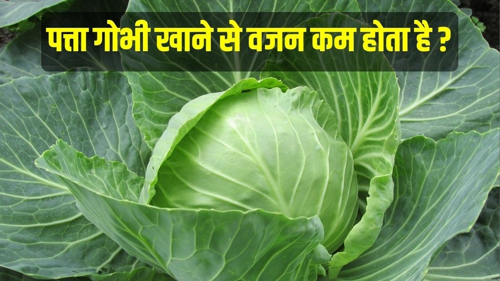 weight loss, cabbage soup diet, weight loss soup