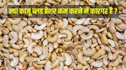 Cashew for BP: क्या काजू ब्लड प्रेशर के लिए अच्छा है? एक्सपर्ट से जानिए सच्चाई