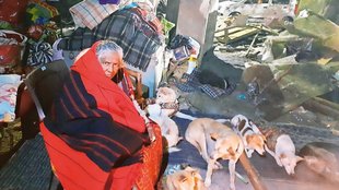 Pratima Devi, Dog Shelter in Saket Delhi