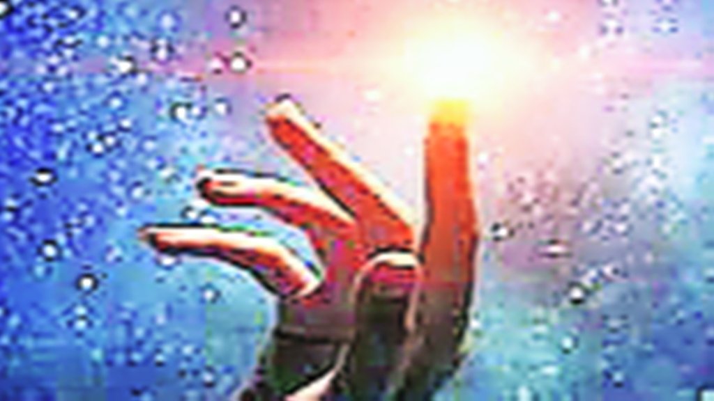 सौंदर्य अहिंसा