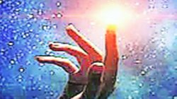 सौंदर्य अहिंसा