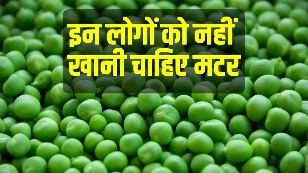 Green Pea: इन 5 बीमारियों में नहीं करना चाहिए हरी मटर का सेवन, शरीर में जहर की तरह होता है असर!
