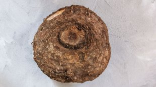 bleeding hemorrhoids no pain, bleeding hemorrhoid, ayurveda treatment for piles