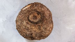 Piles Treatment: पाइल्स को जड़ से खत्म कर सकती है ये सब्जी, जानिए सेवन करने का सही तरीका