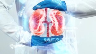 kidney, kidney disease, chronic kidney disease