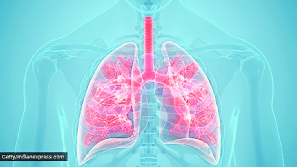 Lungs organ donation