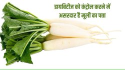 Radish Greens Benefits: मूली से ज्यादा फायदेमंद है उसके पत्ते भूलकर भी नहीं फेंके,जानिए फायदे