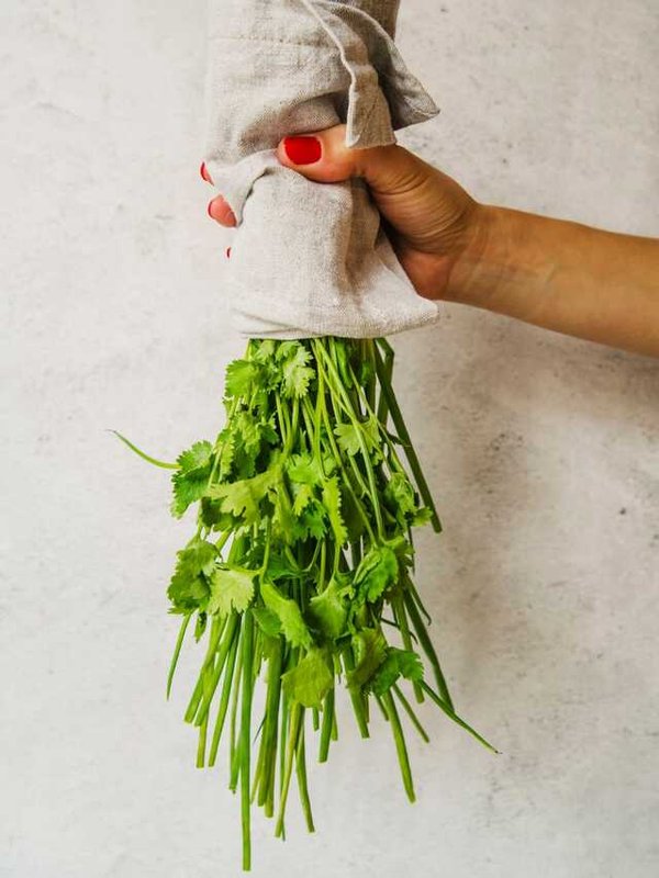 TIPS TO KEEP CORIANDER LEAVES FRESH FOR LONG TIME