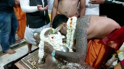 Mahakaleshwar Mandir में इंडियन क्रिकेटर्स ने की पूजा, नंदी को बताई अपनी मनोकामना, ऋषभ पंत के स्वस्थ होने की प्रार्थना की