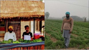 organic farming| punjab| barnala|