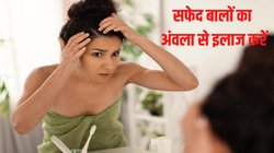 White Hair Care: किचन में मौजूद इन 2 चीजों से करें सफेद बालों को काला, जानिए कैसे करें इस्तेमाल