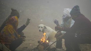 Weather News| Coldest January| People Use Bonfire