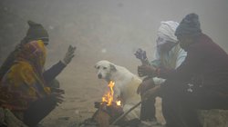 Weather Update January Cold Wave: 1951 के बाद पहली बार जनवरी में इतनी ठंड, जानिए कैसे इस बार अलग है सर्दी का पैटर्न