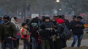 delhi Cold