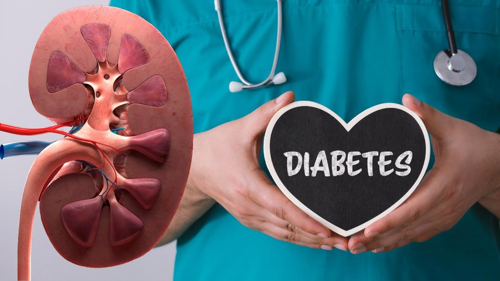 diabetes and kidney, diabetes and kidney disease, kidney disease