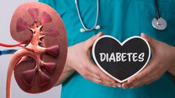 Diabetic Kidney: देश में तेजी से बढ़ रहे हैं डायबिटिक किडनी डिजीज के मामले, जानिए क्या हैं लक्षण