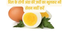 Eggs Side Effect: इन तीन क्रॉनिक बीमारियों में ज़हर की तरह असर करता है अंडा, एक्सपर्ट से जानिए