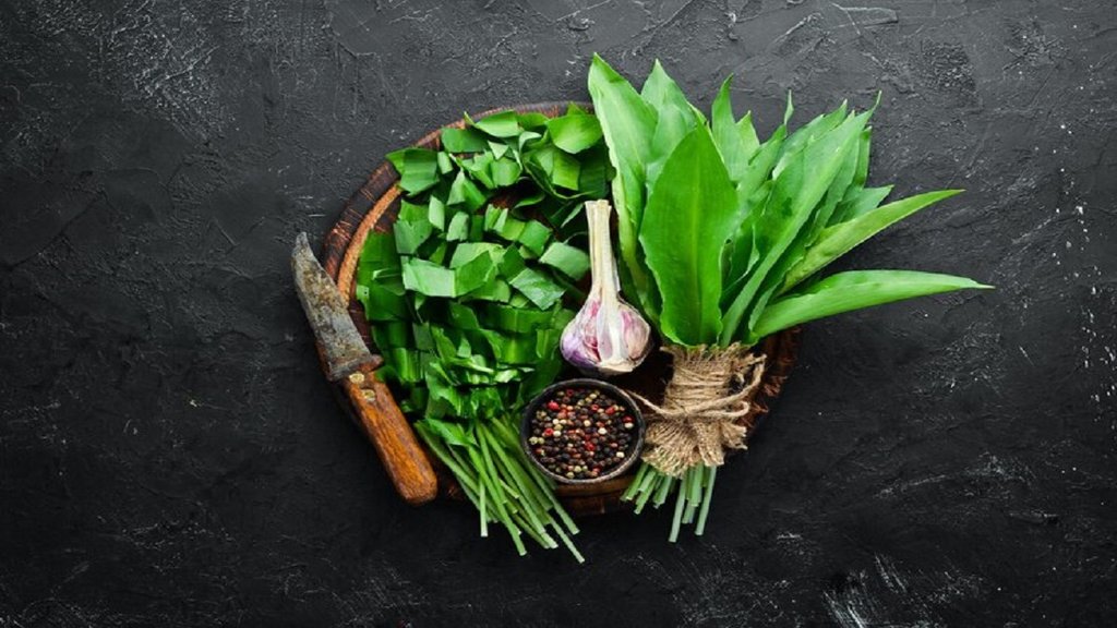 Garlic leaves improve blood circulation: लहसुन के पत्तों का सलाद या सब्जी के रूप में सेवन करके आप आसानी से ब्लड सर्कुलेशन को ठीक कर सकते हैं। photo-freepik