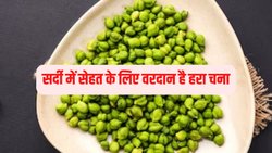 Green-Chickpeas: सर्दी में प्रोटीन से भरपूर हरे चने के 5 फायदे जानकर हैरान रह जाएंगे आप, एक्सपर्ट से जानिए
