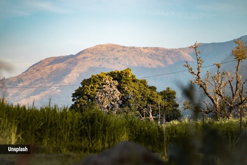 Jim Corbett National Park