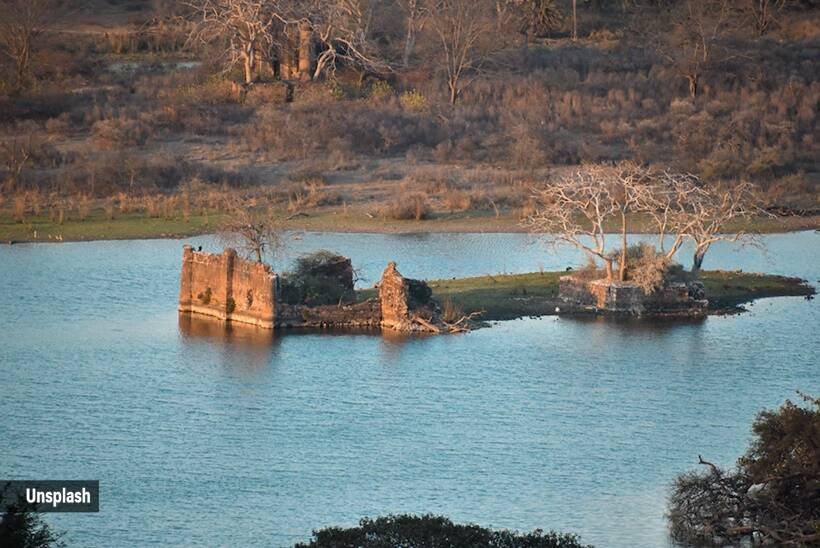 Ranthambore