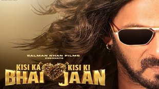 salman khan, krk, bollywood