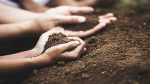 child eating soil | child health tips | soil eating habits-Child Eating Soil,health tips,Child Health Care Tips,