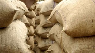 pakistan flour crisis|flour crisis|