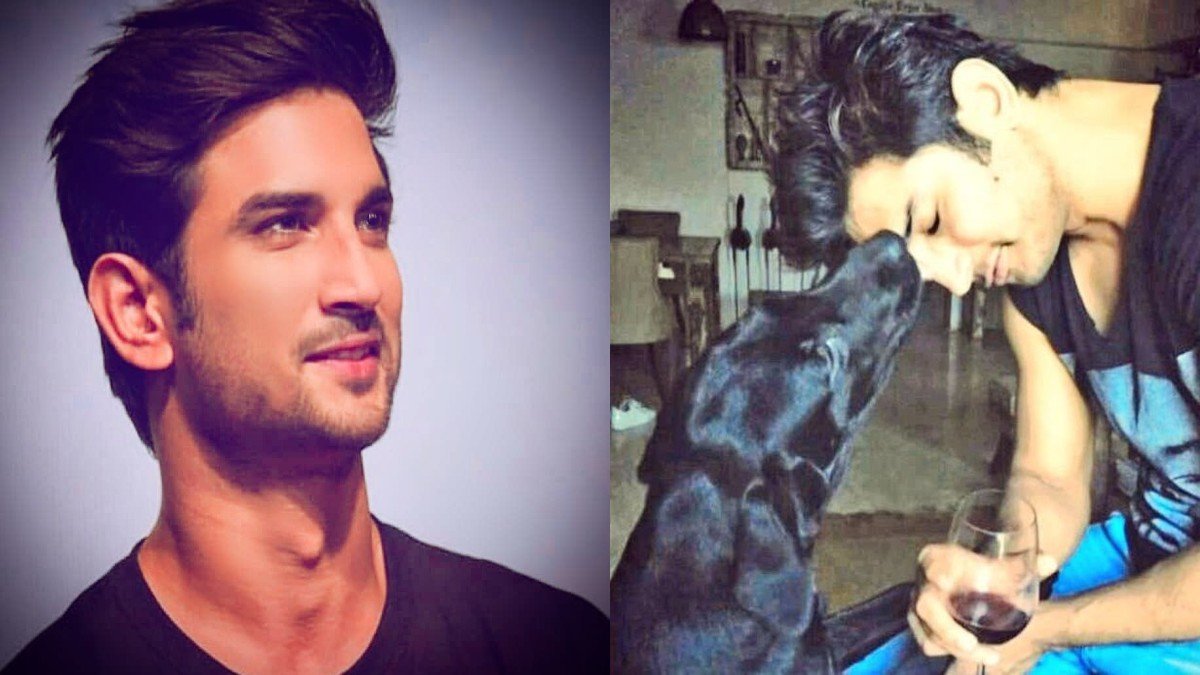 Sushant Singh Rajput dog dies, Fudge, SSR Sushant Singh Rajput dog dies, Fudge, SSR