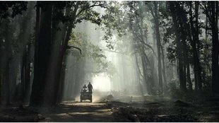 tiger safari| corbett reserve |