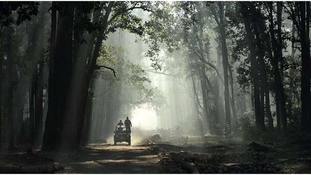 tiger safari| corbett reserve |