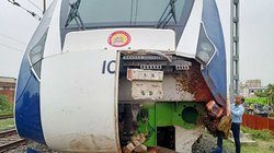 Indian Railways: तीन साल में पटरी पर कट कर मर गए चार शेर और 73 हाथियों समेत 63 हजार जानवर: CAG रिपोर्ट