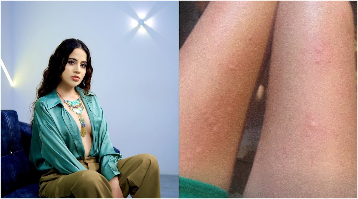 Uorfi Javed, Tv actress