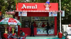 फंगस लगे लस्सी का वीडियो हुआ था वायरल, AMUL ने सफाई दे ग्राहकों को किया आगाह
