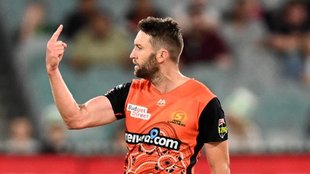 Andrew Tye|Andrew Tye t20 wickets|BBL