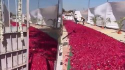 CM अशोक गहलोक के स्वागत में सड़क पर बिछा दिए गुलाब के फूल, लोग बोले- बहारों फूल बरसाओ…जादूगर आया है