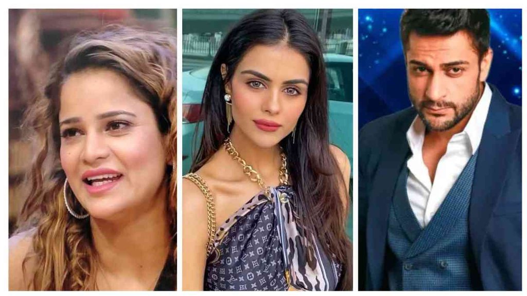 Bigg Boss 16, Shalin Banot, Archana Gautam, Priyanka chahar chaudhary