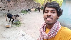 इस लड़के के गाने ने जीत लिया सबका दिल, सोनू सूद बोले- एक बिहारी, सौ पे भारी