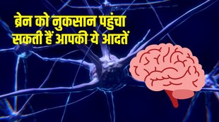 High cholesterol increases risk of brain hemorrhage and stroke, use of cinnamon powder for brain health