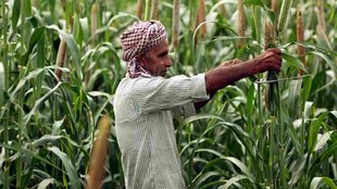 Budget 2023, Farmers, Shri Ann Yojana