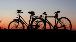 Cycling Benefits for Health and Money: रोजाना साइकिल चलाने से होंगे ये 6 फायदे, जो आपको रखेंगे स्वस्थ और बचाएंगे पैसा