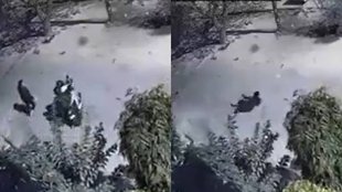 Ghaziabad News II SDM Wife II Viral Video