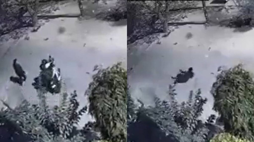 Ghaziabad News II SDM Wife II Viral Video