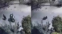 Ghaziabad: SDM की पत्नी से चोरों ने छीनी चैन, CCTV में कैद घटना का वीडियो वायरल; लोगों ने सरकार पर ऐसे कसा तंज