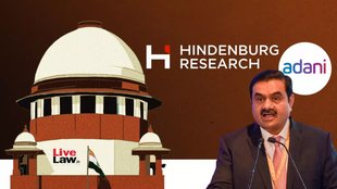 Hindenburg report supreme court