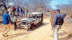 Bhiwani Killings: जींद जिला परिषद के नाम से रजिस्टर्ड थी गोरक्षकों द्वारा इस्तेमाल की गयी स्कॉर्पियो, इसी गाड़ी में मिले थे नासिर और जुनैद के जले हुए शव