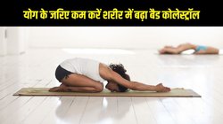 Baba Ramdev Tips: शरीर में बढ़ा बैड कोलेस्ट्रॉल आसानी से होगा कम, बस रोजाना करें ये 4 आसान योगासन