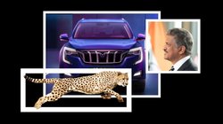 Cheetah पर क्यों आधारित है XUV Series? Anand Mahindra ने वीडियो पोस्ट कर बताई वजह