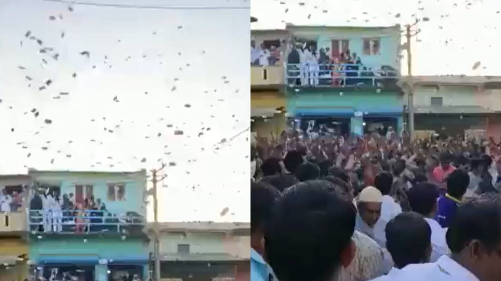 Mehsana II Gujarat II Viral Video