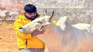 Monu Manesar II PM Modi II Gauseva